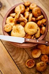 delicious fresh lactarius mushrooms straight from the forest in a brown bowl and a knife on an old wooden table