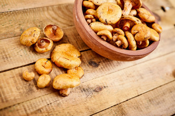 delicious fresh lactarius mushrooms straight from the forest in a brown bowl on an old wooden table