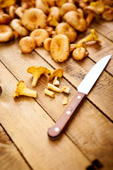 Fototapeta premium delicious fresh lactarius mushrooms straight from the forest and a knife on an old wooden table