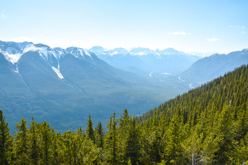 Landschaft Berge und Wald