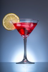 Cocktails with Ice Cubes and Lemon Garnish