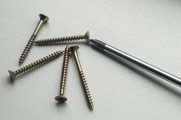 A pile of wood screws and screwdriver shaft head closeup on white background