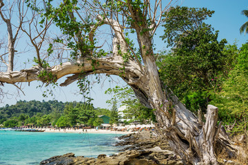 Fototapeta na wymiar Landscape on coast of tropical sea. South-East Asia