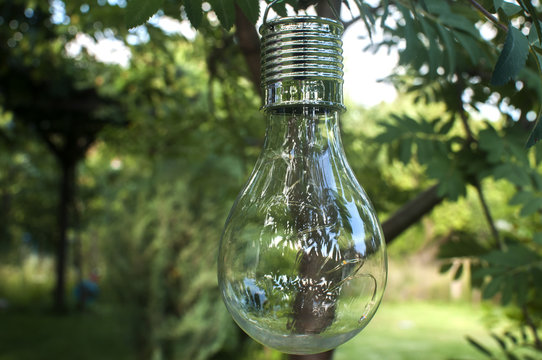 Solar light bulb hanging on tree branch in green house garden