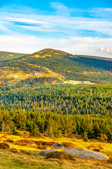 Obraz premium Green forest landscape with Maly Sisak Mountain and mountain huts, Giant Mountains, Krkonose, Czech Republic.