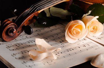 Close-up of a Violin with White Roses and Sheet Music