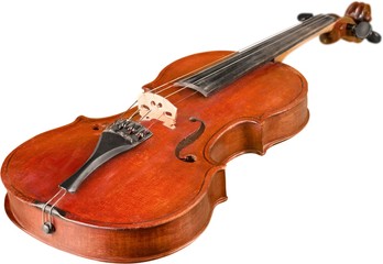 Fototapeta na wymiar Bottom View of a Violin, Isolated