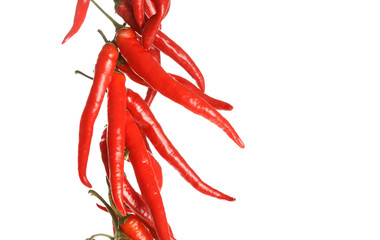 Hot red chili