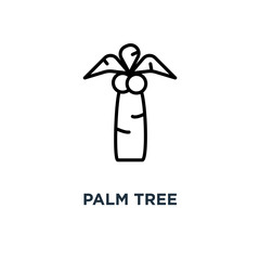 Palm tree icon. Linear simple element illustration. Coco palm co