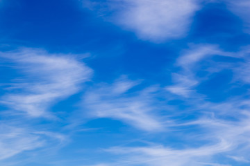 Naklejka na ściany i meble Plumose clouds in the blue sky