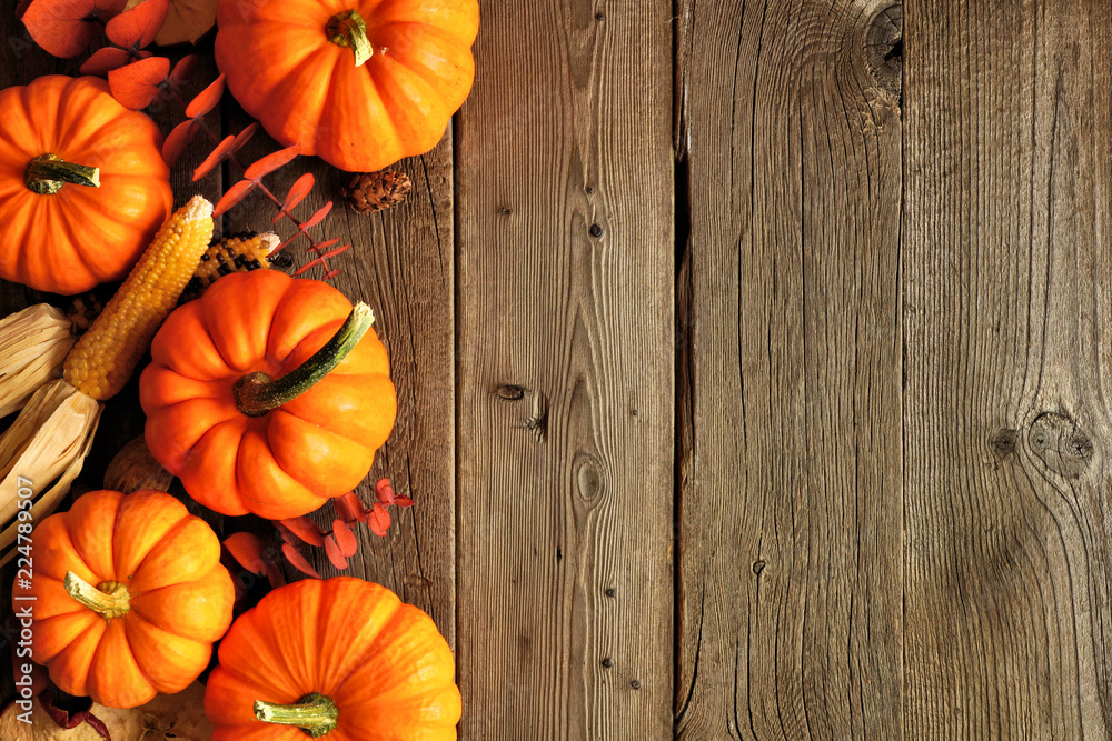 Poster autumn side border of pumpkins and fall decor on a rustic wood background with copy space