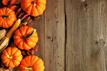 Foto op Plexiglas Autumn side border of pumpkins and fall decor on a rustic wood background with copy space © Jenifoto