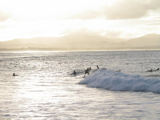 Naklejka premium Australia's surfing coast. Byron Bay, Surfers Paradise