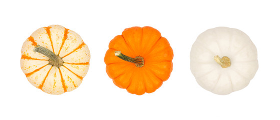 Auswahl an Herbstkürbissen isoliert auf weißem Hintergrund. Ansicht von oben. Gestreift, orange und weiß.