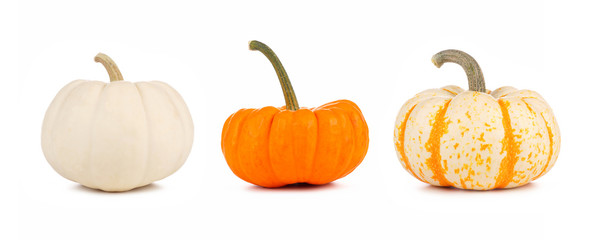 Assortment of autumn pumpkins isolated on a white background. White, orange and striped. - obrazy, fototapety, plakaty