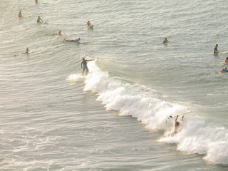 Surf in Australia. Byron Bay.  Australia's surfing coast