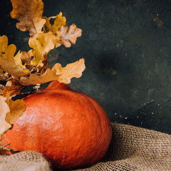  Halloween background. Molten candles. Carrying out the ritual.  Halloween in rustic style. Autumn mood. All hallows' day. Pumpkin, lamp, candles. Harvest. Countryside.