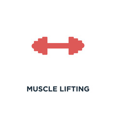 Obraz premium muscle lifting icon. fitness barbell concept symbol design, gym,