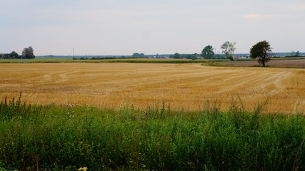 Landwirtschaft und Landschaften in Polen &ndash; Agriculture in Poland