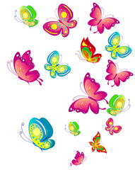 beautiful color butterflies,set, isolated  on a white