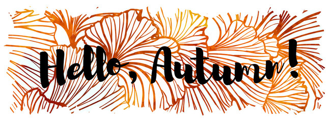 Vector colorful ginkgo leaves autumn background and lettering