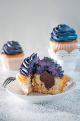 Cupcake with galaxy whipped cream and chocolate filling cut in a half