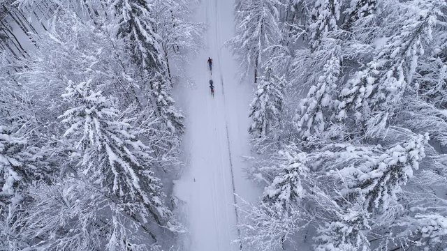 Aerial - Couple ski walking on forest road and one of them using ski sled