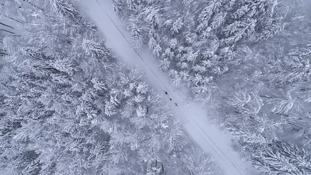 Aerial - Couple ski walking on forest road and one of them using ski sled