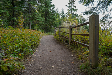 Fototapeta premium Beautiful paved trail with wooden fence at overlook on the North Shore of Lake Superior