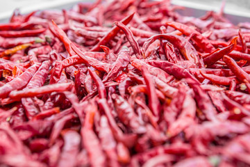 Fototapeta premium red dried thai chilli