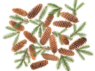 Fir cones with branches