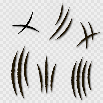 Set of animal claws on transparent background. Vector.
