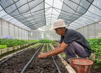 Person holding abundance soil with seedling plant in hand  in gardener