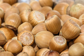 a whole bunch of hazelnuts