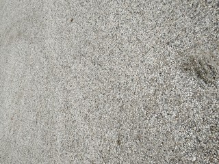 Holiday trip to Western Europe