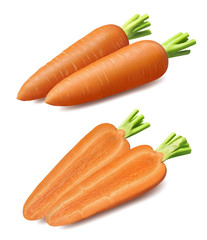 Whole and sliced carrot set isolated on white background