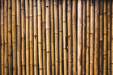 bamboo wall texture
