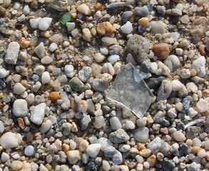 Piece of glass among the pebbles on the beach.