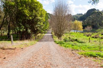 Dirt road in rural Victoria, Australia