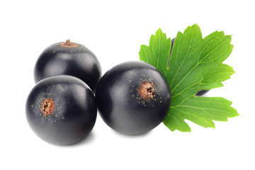 black currant with green leaf isolated on white background. macro