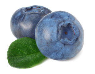 healthy background. blueberries with leaves isolated on white background. macro
