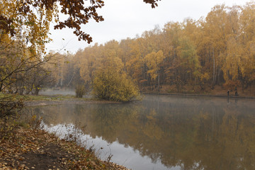 autumn Park on the lake in the Park, cloudy and foggy day, a place of solitude and unity with nature in the urban noise, the rhythm of life