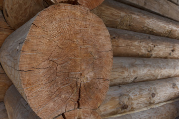 log cabin made of wood, which shows the texture of the tree