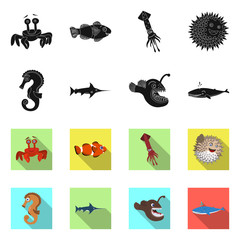 Vector design of sea and animal symbol. Set of sea and marine stock symbol for web.