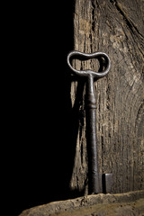 Old key on a log