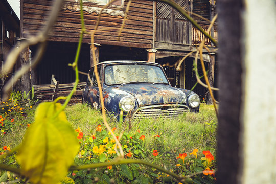 Rusty old car in backyard