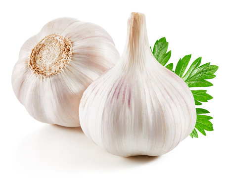 Garlic Isolated on white