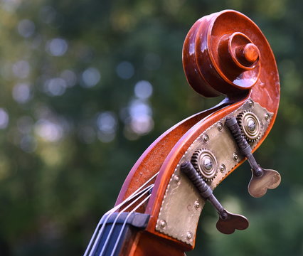 Wirbelkasten eines Violoncellos (Cello) mit Wirbelmechaniken 