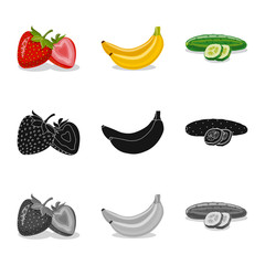 Vector design of vegetable and fruit logo. Collection of vegetable and vegetarian stock symbol for web.