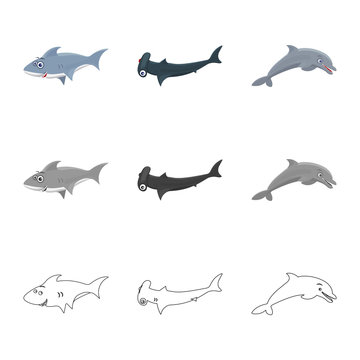 Vector illustration of sea and animal logo. Collection of sea and marine vector icon for stock.